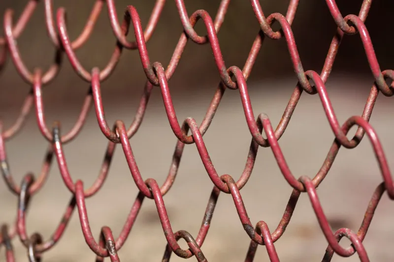 Dead Links Are Draining Your Rankings: The Lost Backlink Recovery Playbook Nobody Uses