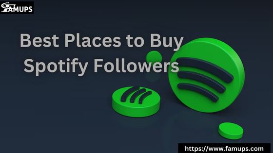 5 Best Places to Buy Spotify Followers for Rapid Music Profile Growth Best Places to Buy Spotify Followers
