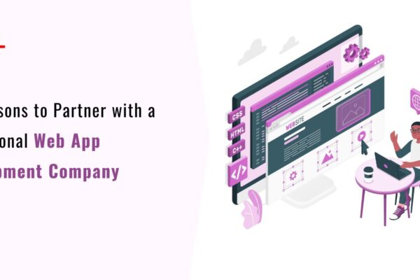 Top Reasons to Partner with a Professional Web App Development Company